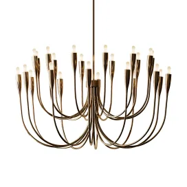Liona Brass Candelabra Chandelier Light 2